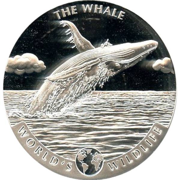 World´s Wildlife - The Whale